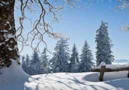 中(zhōng)國(guó)电竞战队EDG夺得全球总决赛冠軍(jūn)