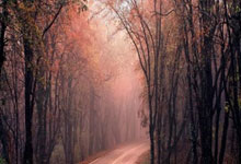 中国男乒让二追(zhuī)三逆转日本队