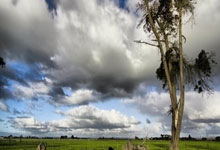 “社会足球青训质量提(tí)升行(xíng)动计划”全(quán)国训練(liàn)营开营