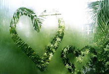 斯(sī)诺尅(kè)英(yīng)锦賽(sài)資(zī)格賽(sài)：中国军团3人晋级第(dì)三轮