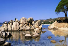 天空：多纳鲁马与纳赛尔动情告别，其离队标志着银河战舰时代结束