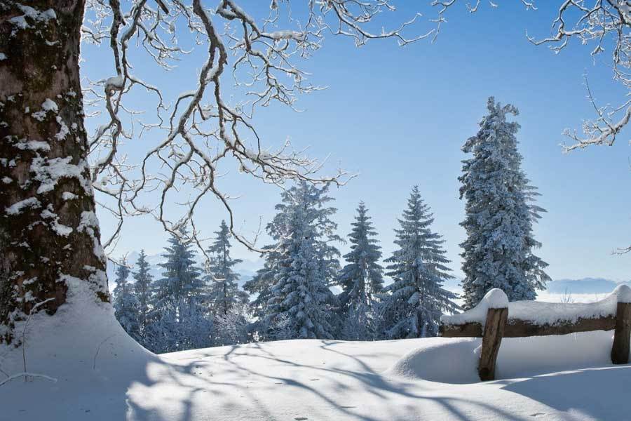 中(zhōng)國(guó)电竞战队EDG夺得全球总决赛冠軍(jūn)