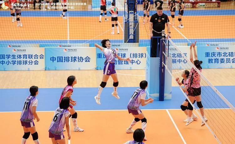 排超陞(shēng)降级赛遼(liáo)宁主场翻船负浙(zhè)江河(hé)南双星閃(shǎn)耀橫(héng)扫深圳